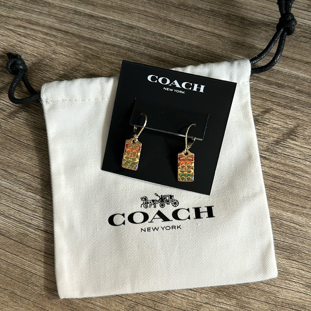 Coach Rainbow C Tag earrings
